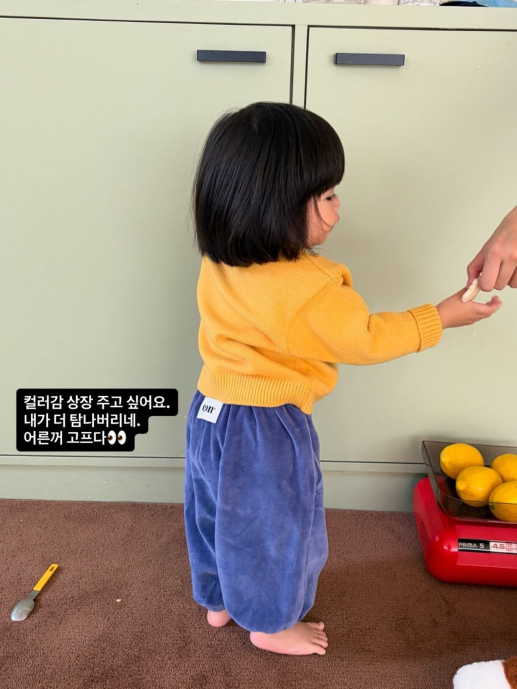 CON ベロアホリックパンツ